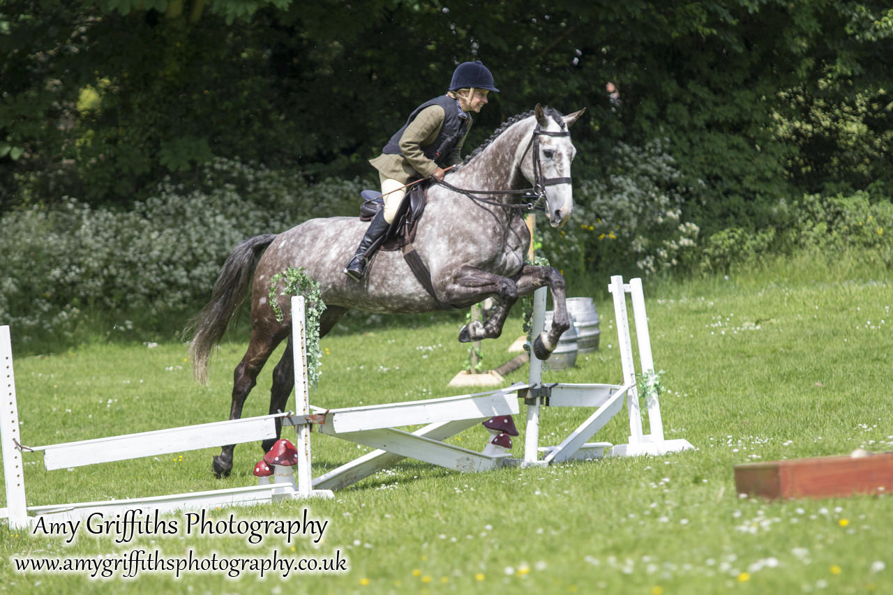 Hornsea Horse and Dog Show Day 2- Amy Griffiths Photography