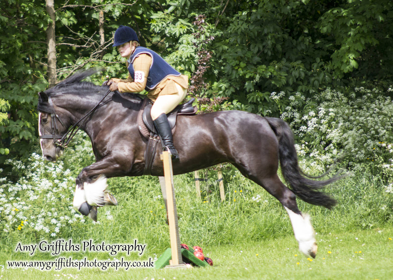 Hornsea Horse and Dog Show Day 2- Amy Griffiths Photography