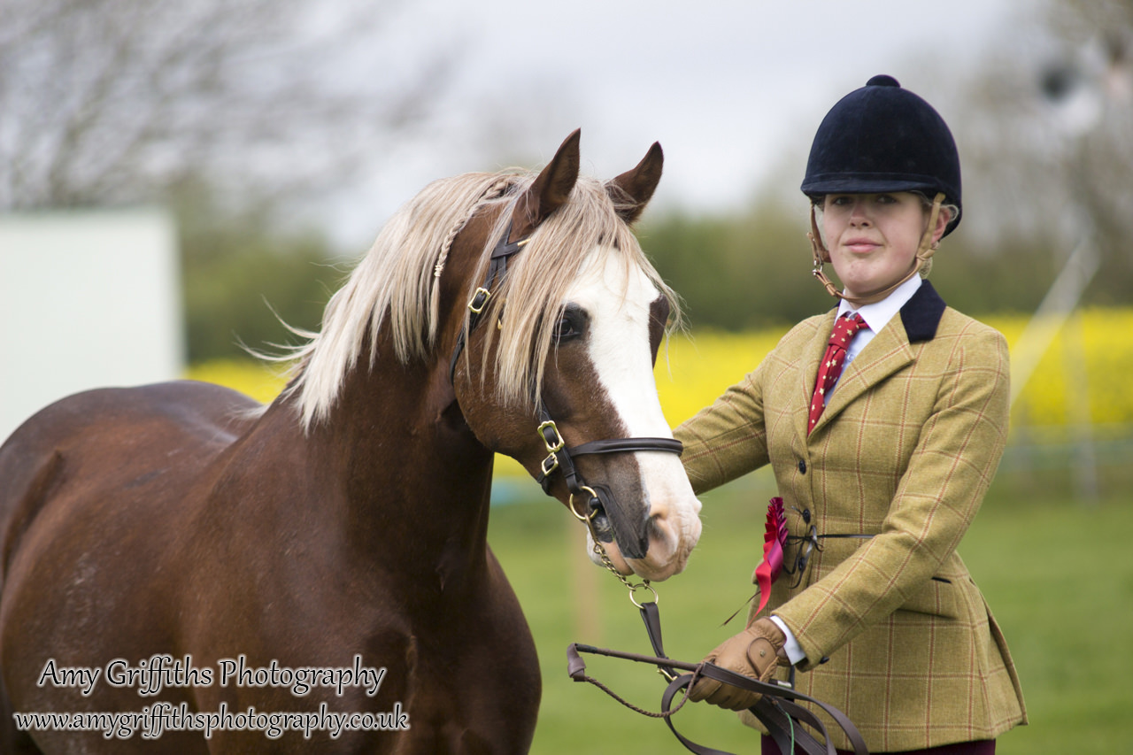 Raskelf Show & Gymkhana 2017- Amy Griffiths Photography