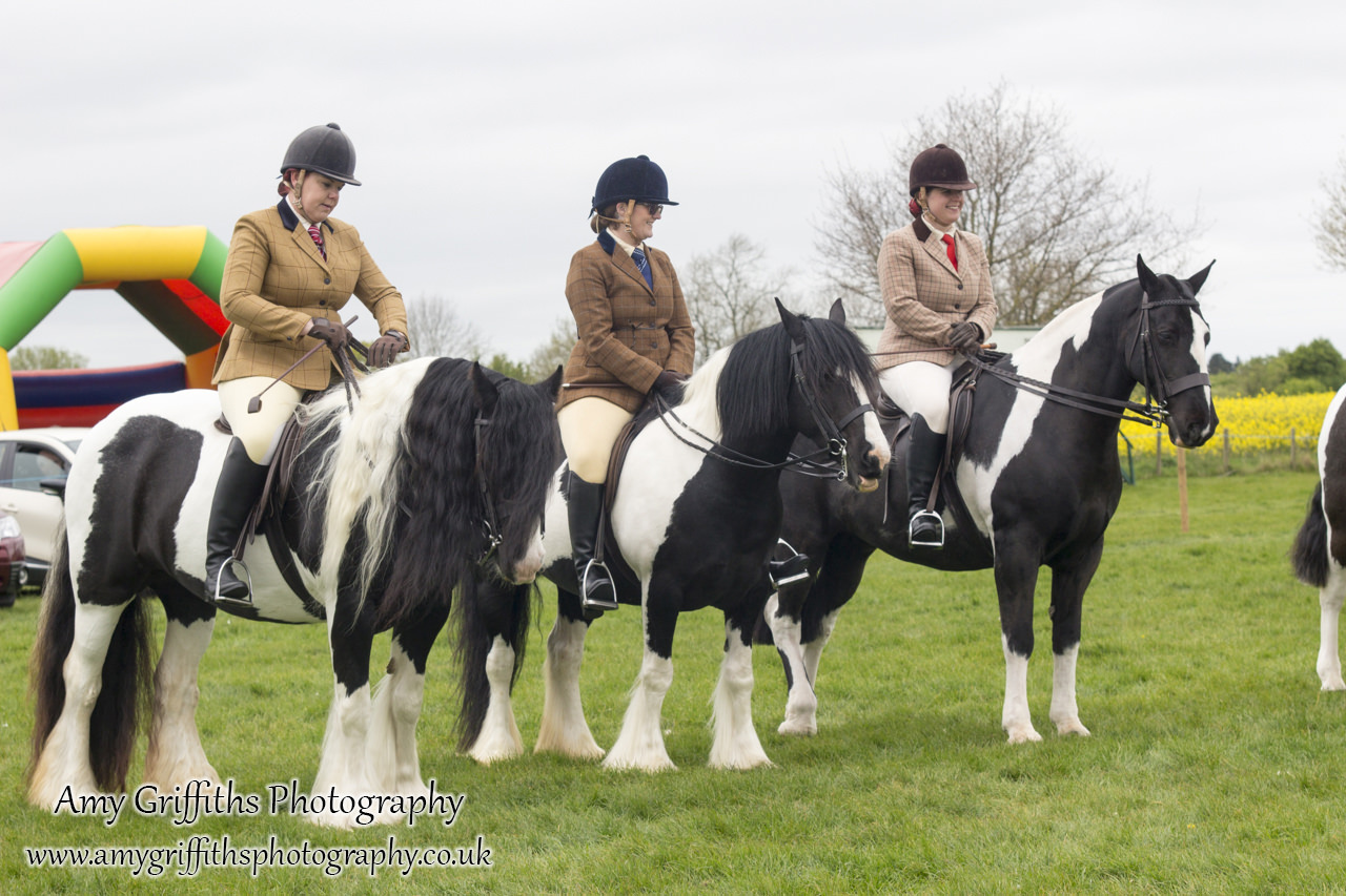 Raskelf Show & Gymkhana 2017- Amy Griffiths Photography