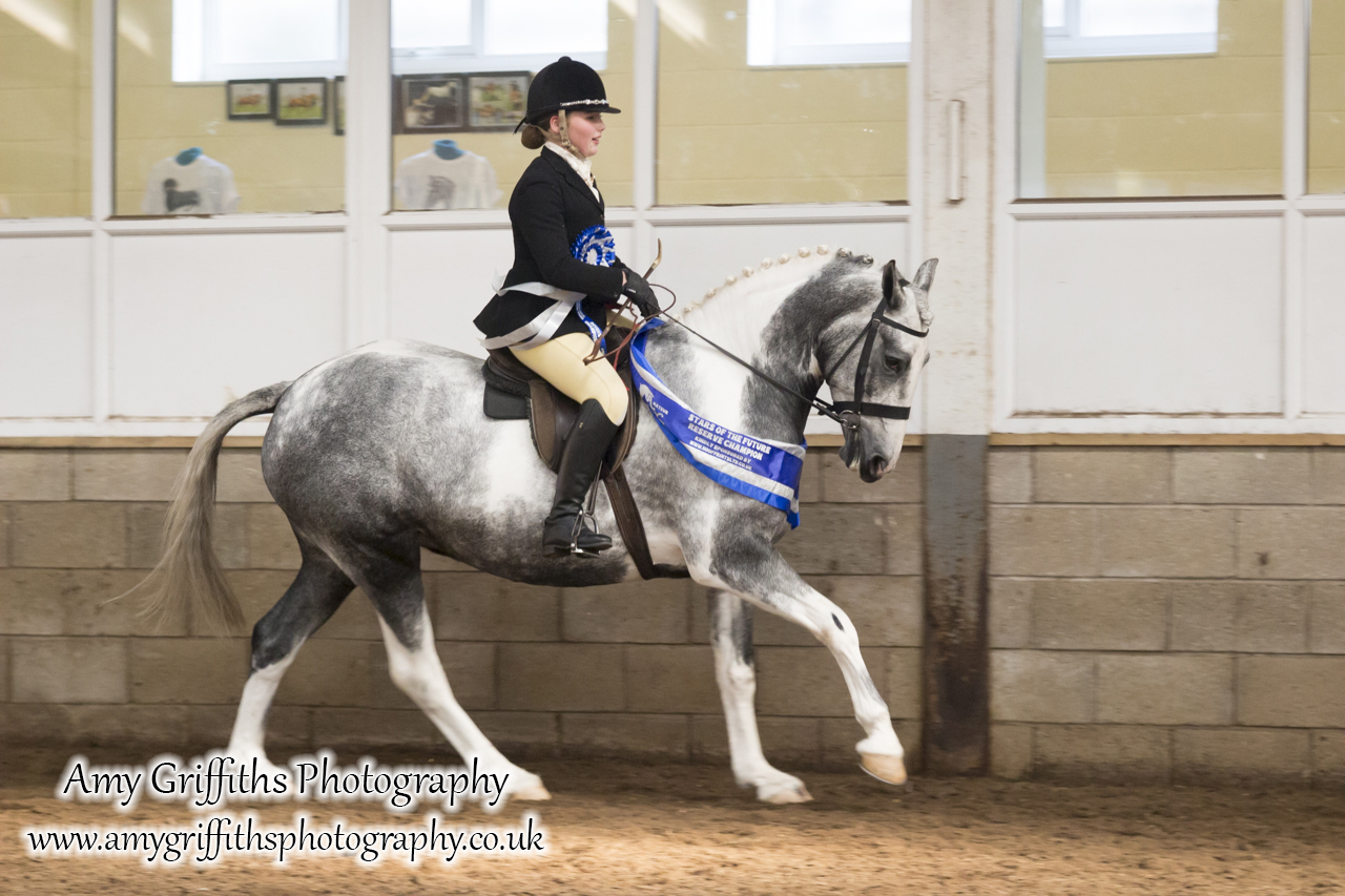 Amateur of the Year Show 2017 Day 2 Ridden- Amy Griffiths Photography