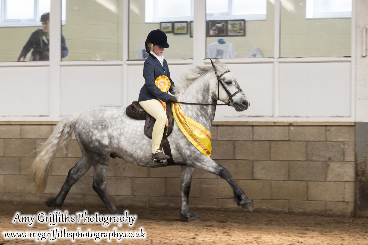 Amateur of the Year Show 2017 Day 2 Ridden- Amy Griffiths Photography