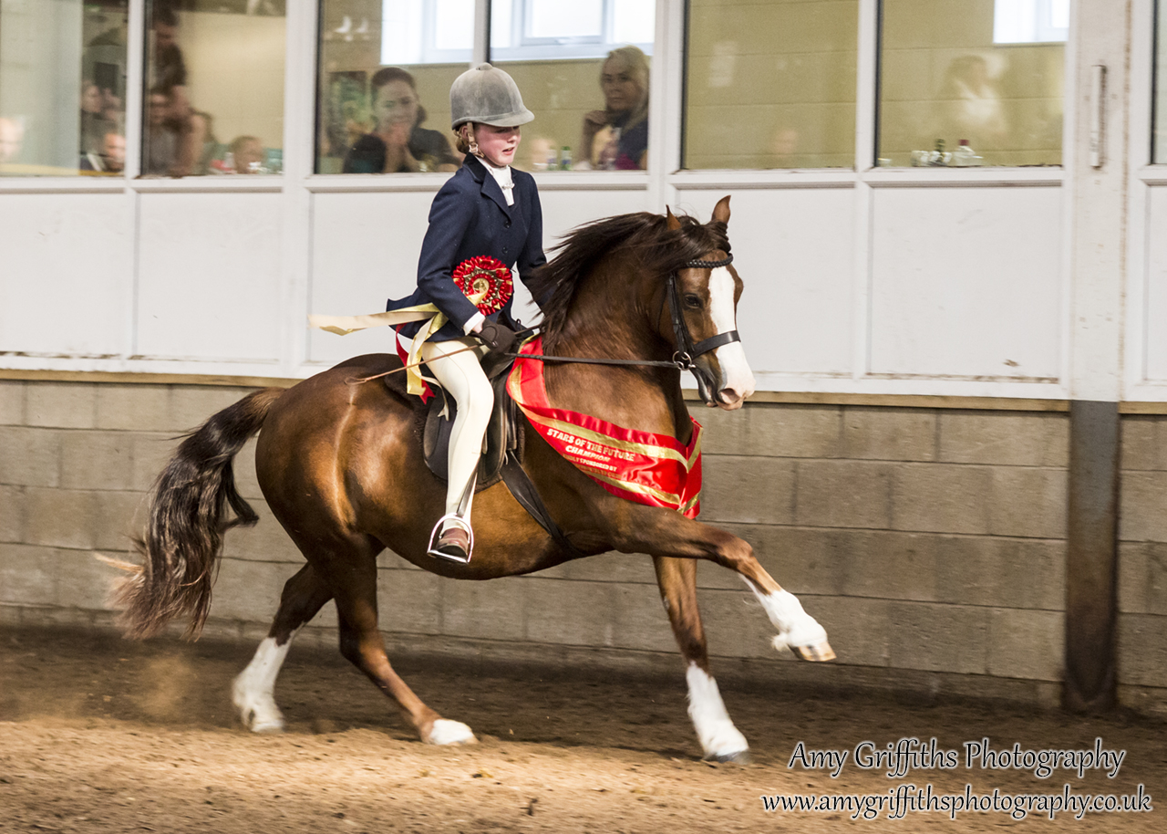 Amateur of the Year Show 2017 Day 2 Ridden- Amy Griffiths Photography