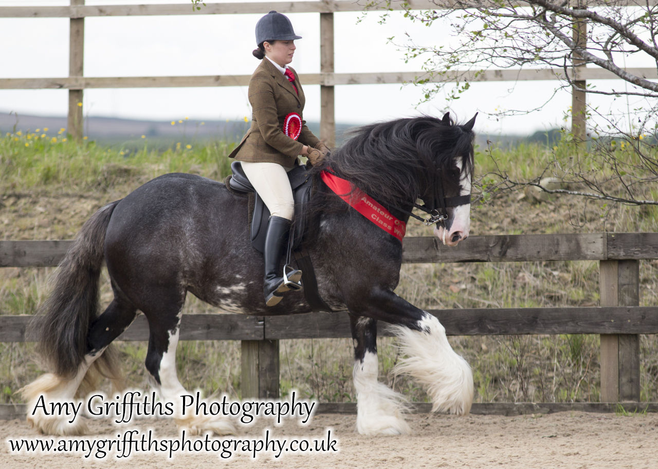 Amateur of the Year Show 2017 Day 2 Ridden- Amy Griffiths Photography