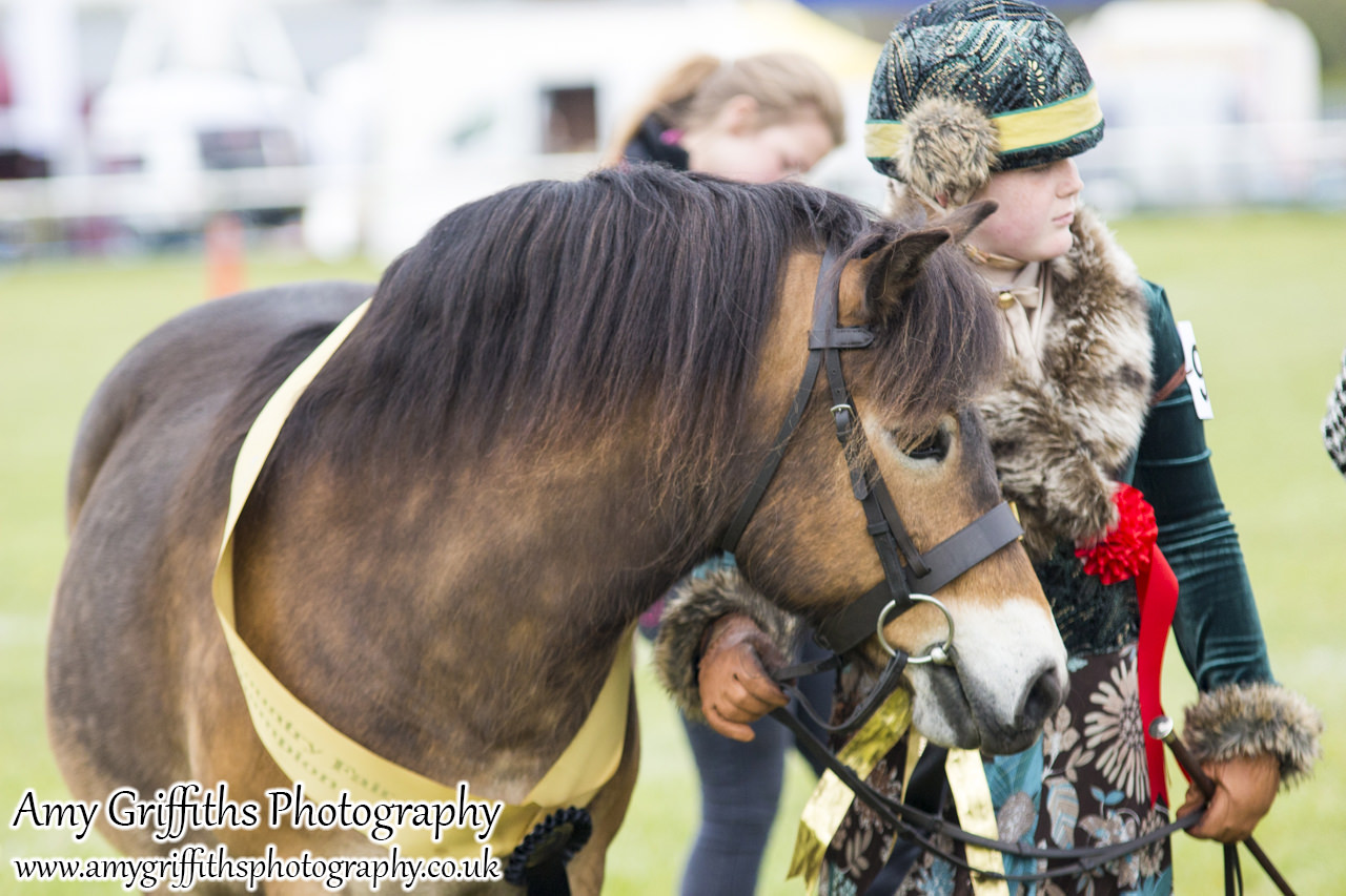 East Riding Country Fair- Day 1