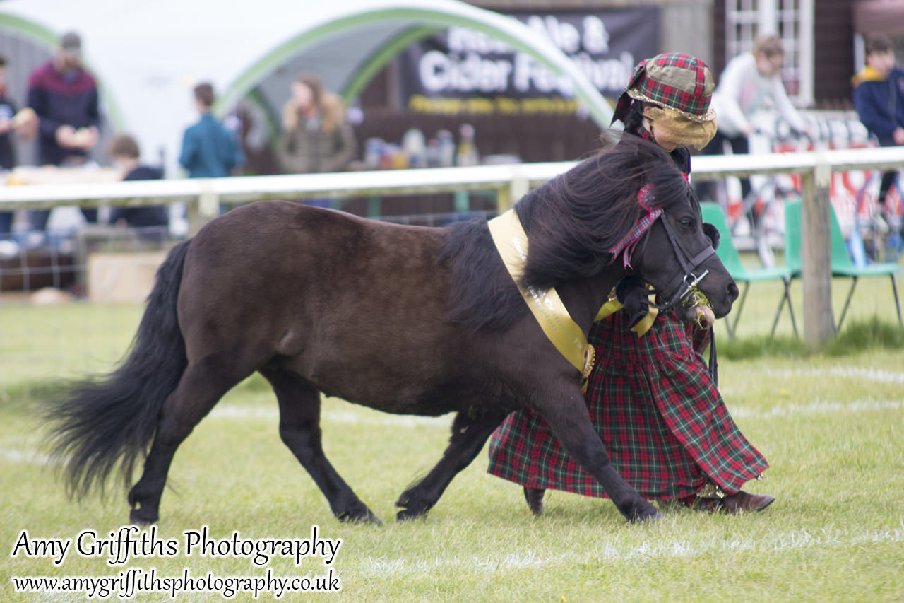 East Riding Country Fair- Day 1