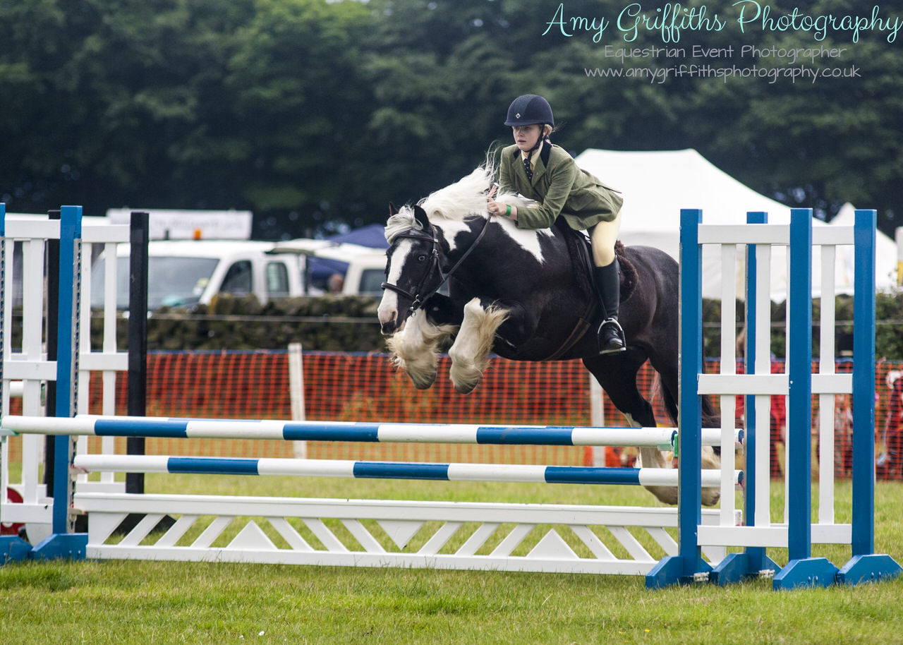 Honley Show 2017 - Amy Griffiths Photography -Equestrian Event Photographer