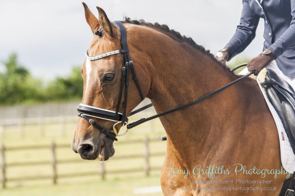 Mill Lane Stables Mini ODE- Amy Griffiths Photography