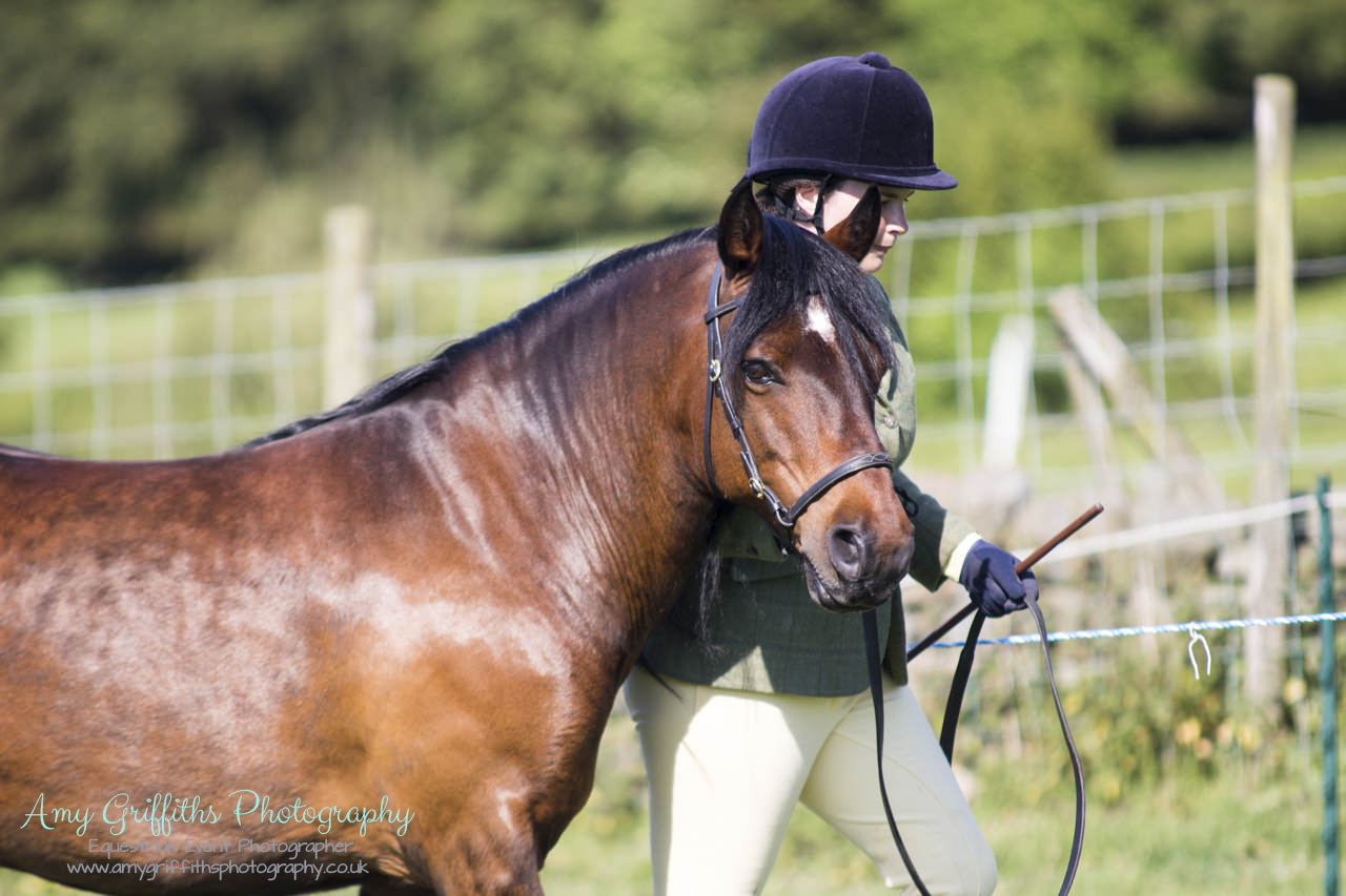 Askwith Show 2017- Amy Griffiths Photography- Equestrian Event Photographer