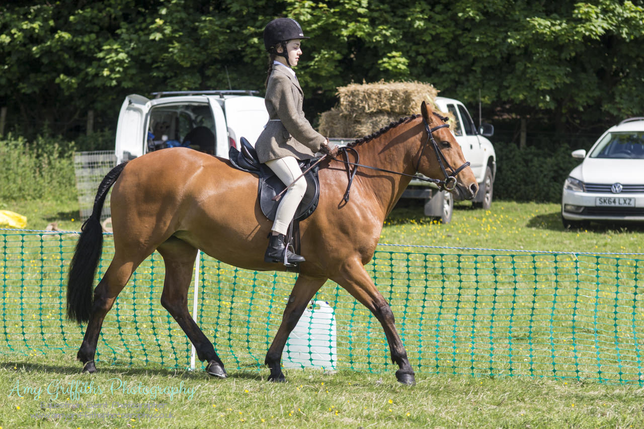 Askwith Show 2017- Amy Griffiths Photography- Equestrian Event Photographer