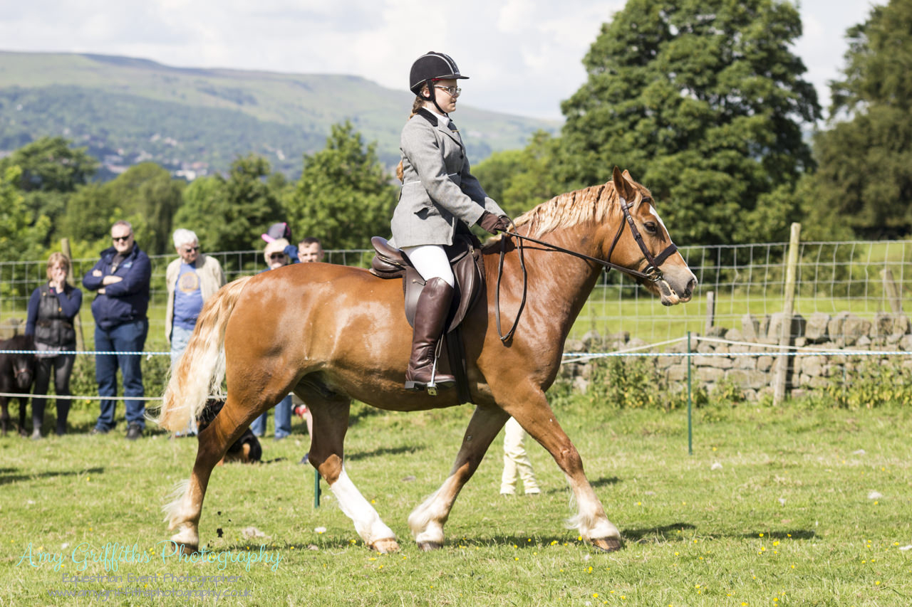 Askwith Show 2017- Amy Griffiths Photography- Equestrian Event Photographer