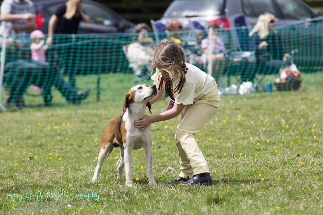 Askwith Show 2017- Amy Griffiths Photography- Equestrian Event Photographer