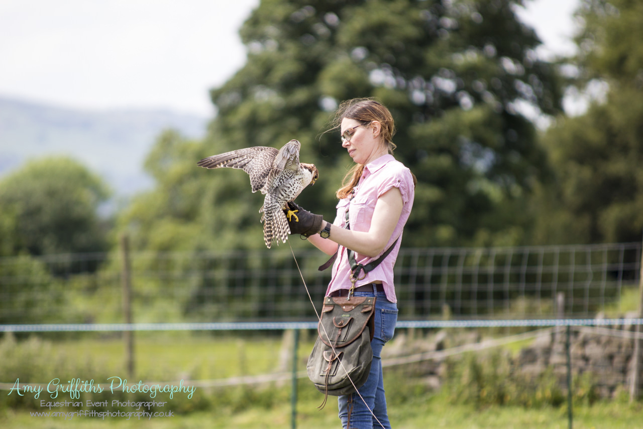 Askwith Show 2017- Amy Griffiths Photography- Equestrian Event Photographer