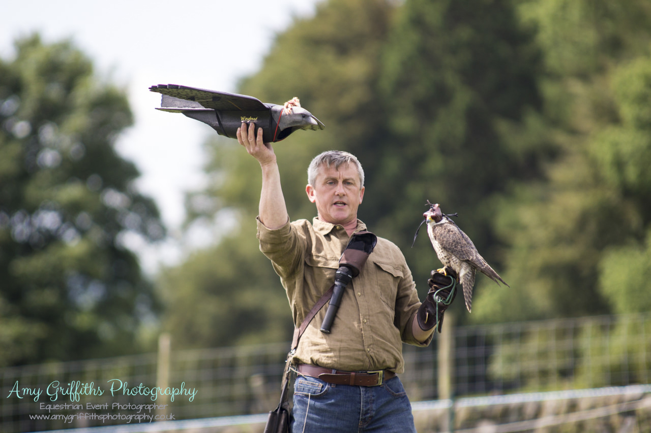 Askwith Show 2017- Amy Griffiths Photography- Equestrian Event Photographer