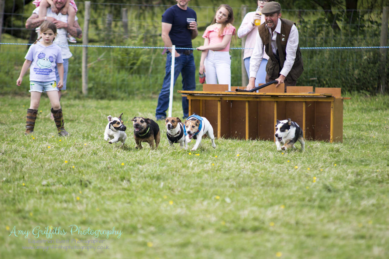 Askwith Show 2017- Amy Griffiths Photography- Equestrian Event Photographer