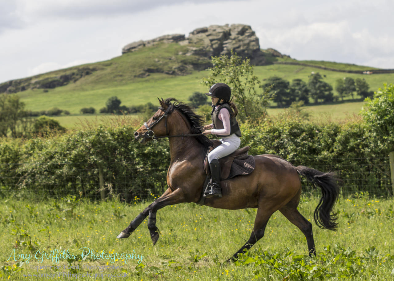Crain Syke Jump Cross -  Amy Griffiths Photography - Equestrian Event Photographer