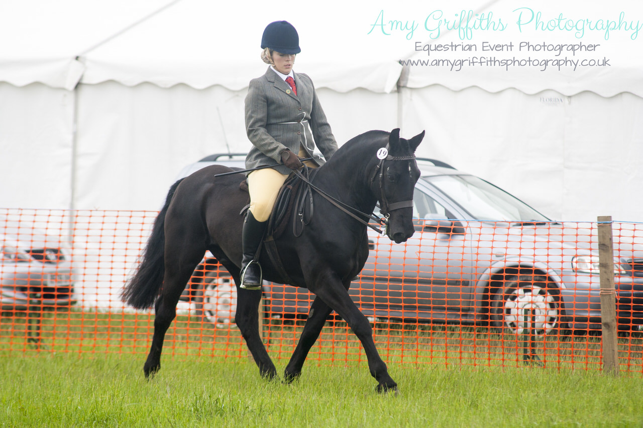 Honley Show 2017 - Amy Griffiths Photography -Equestrian Event Photographer