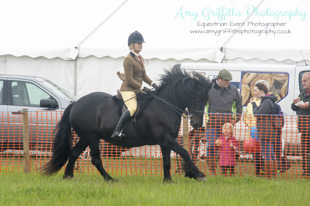 Honley Show 2017 - Amy Griffiths Photography -Equestrian Event Photographer