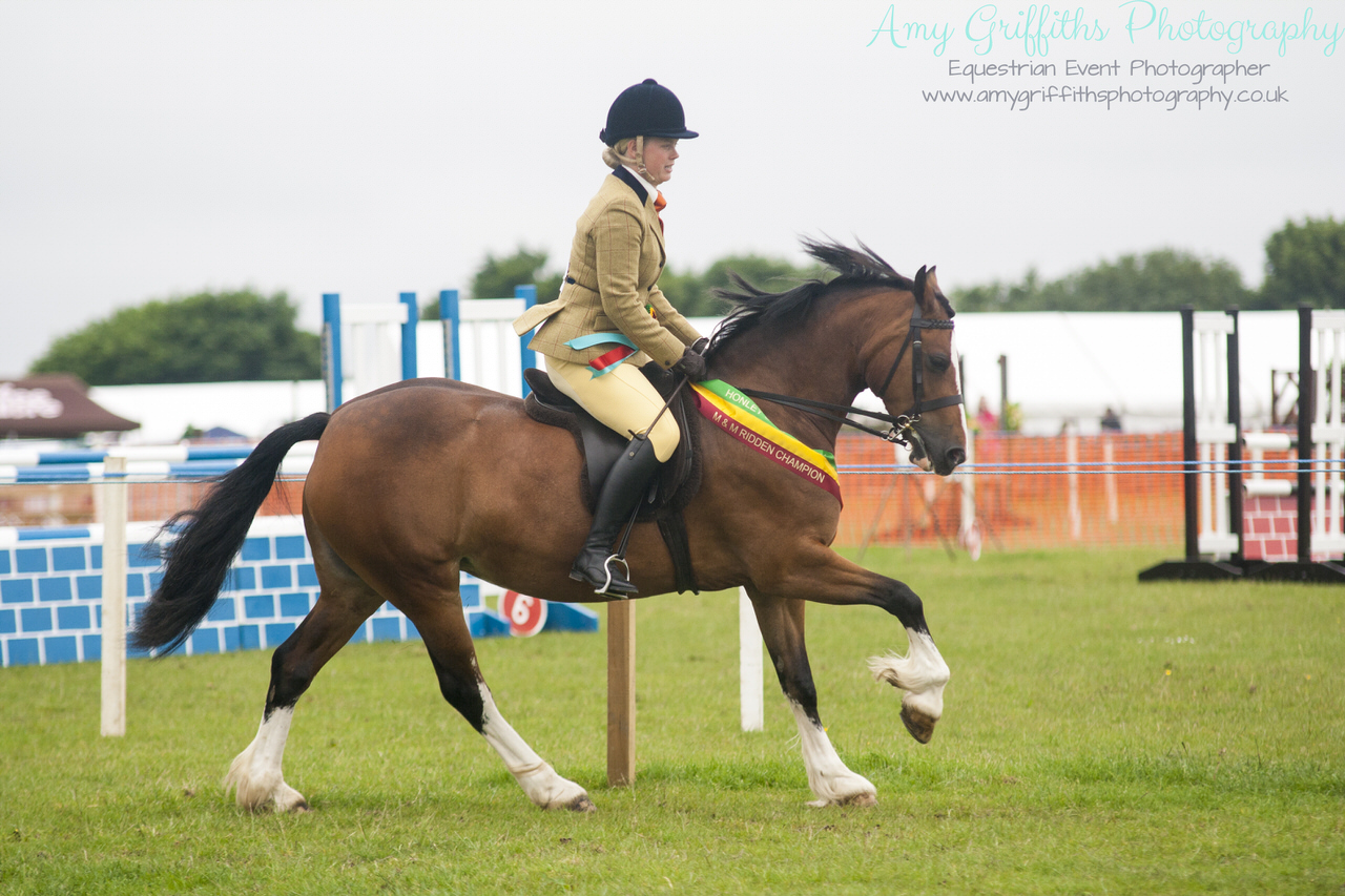 Honley Show 2017 - Amy Griffiths Photography -Equestrian Event Photographer