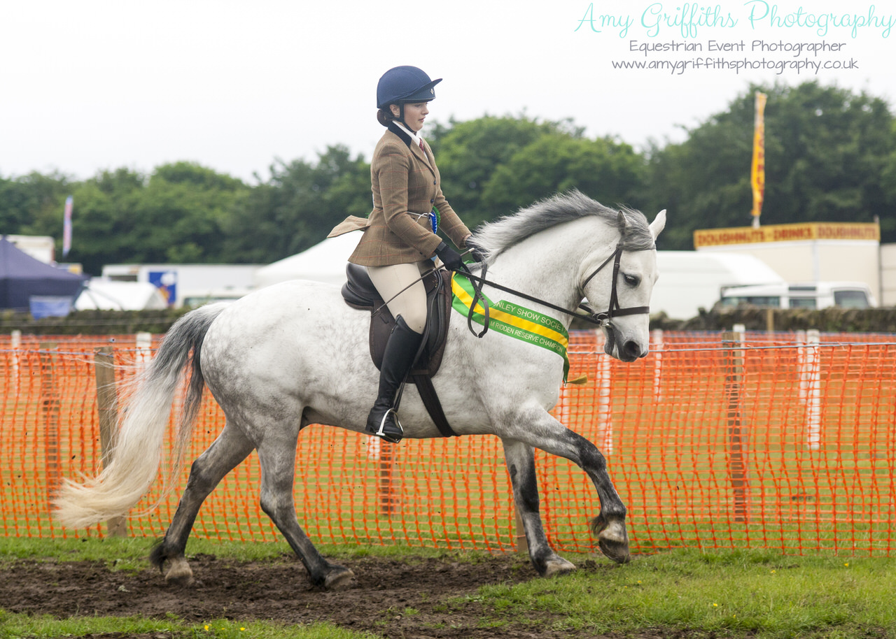 Honley Show 2017 - Amy Griffiths Photography -Equestrian Event Photographer