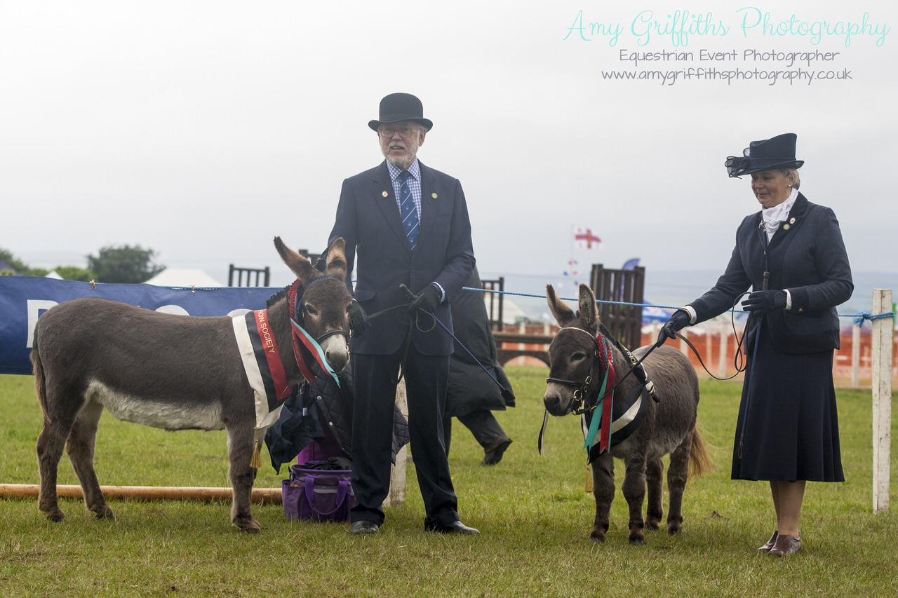 Honley Show 2017 - Amy Griffiths Photography -Equestrian Event Photographer