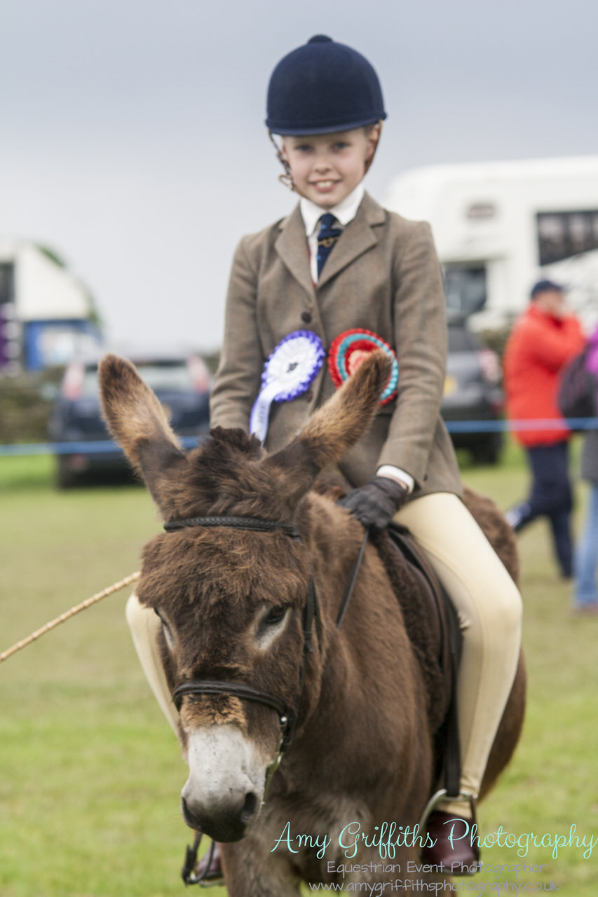 Honley Show 2017 - Amy Griffiths Photography -Equestrian Event Photographer