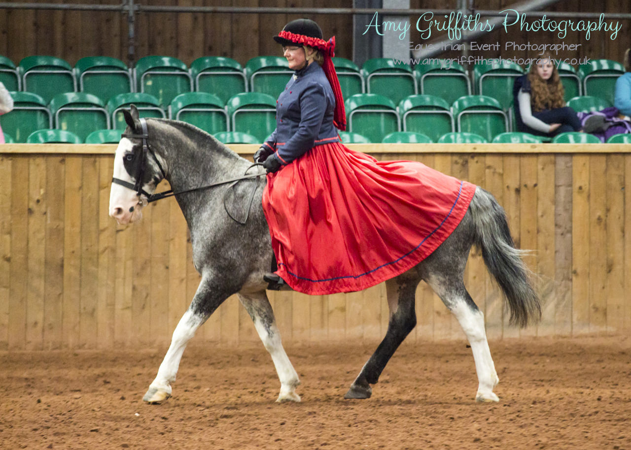 Amy Griffiths Photography- Equestrian Life Championships