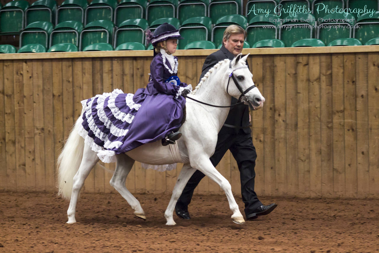 Amy Griffiths Photography- Equestrian Life Championships