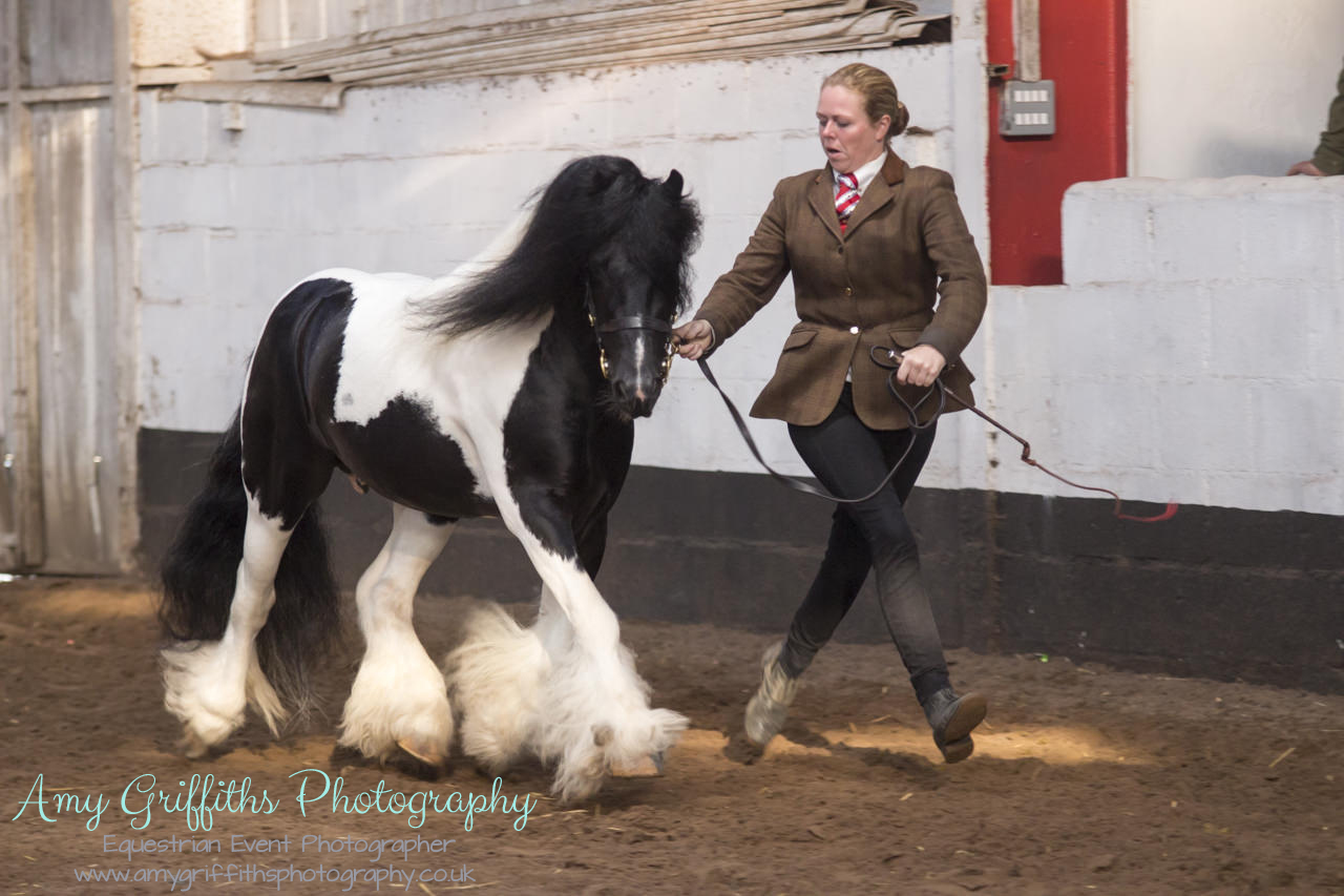 Equistars Summer Championships - Amy Griffiths Photography