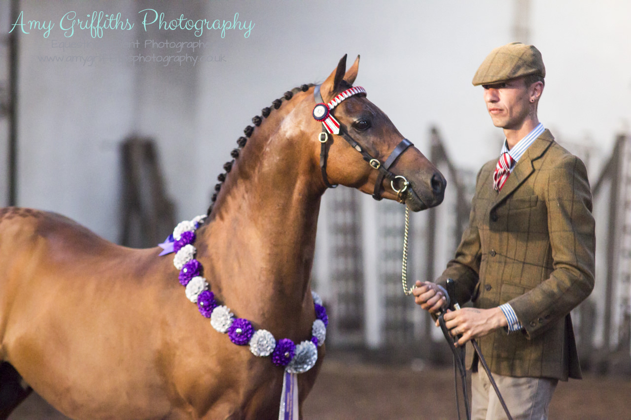 Equistars Summer Championships - Amy Griffiths Photography