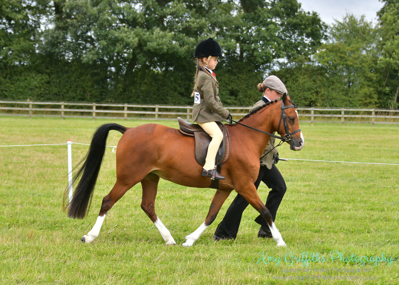 Amy Griffiths Photography- Equestrian Life Championships