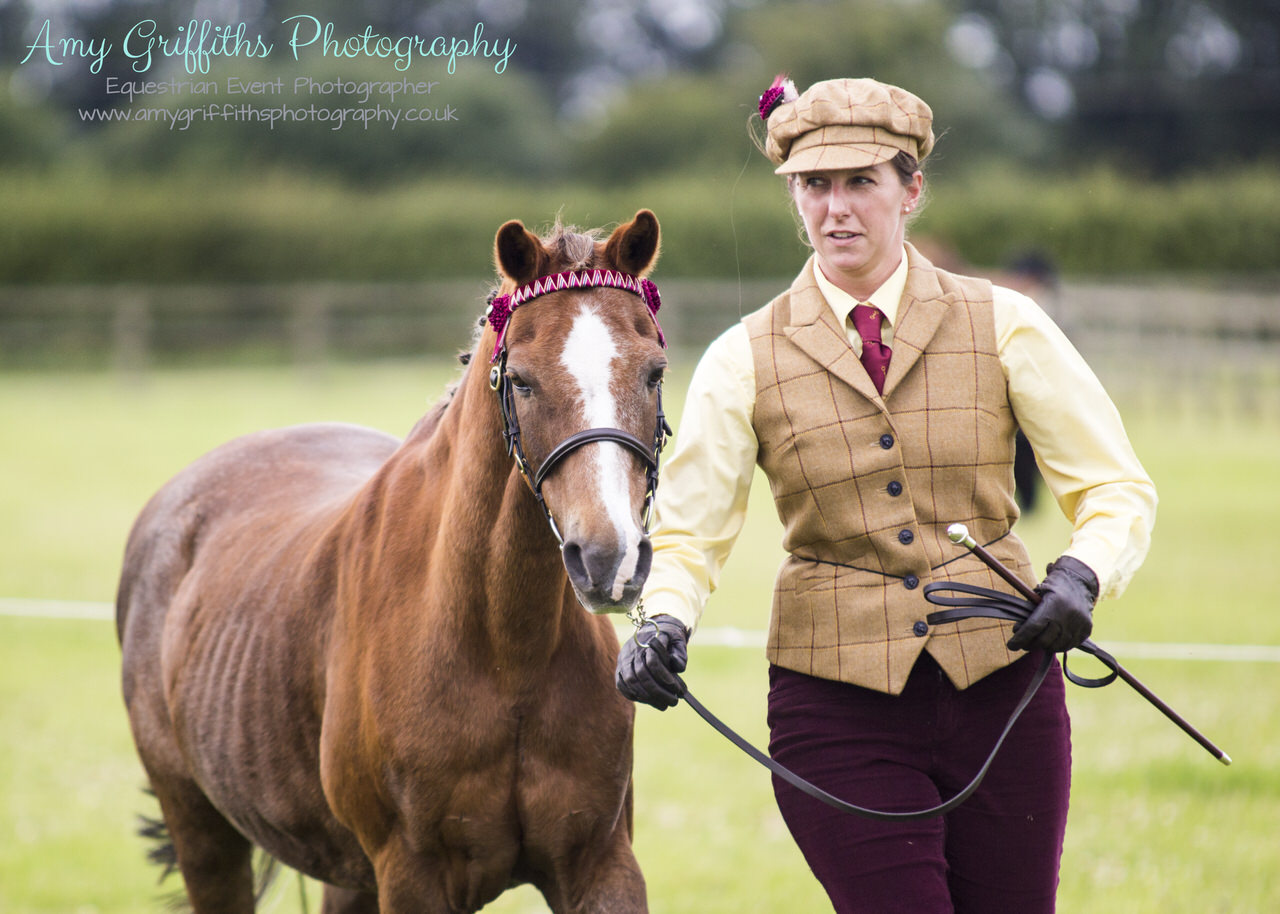 Amy Griffiths Photography- Equestrian Life Championships