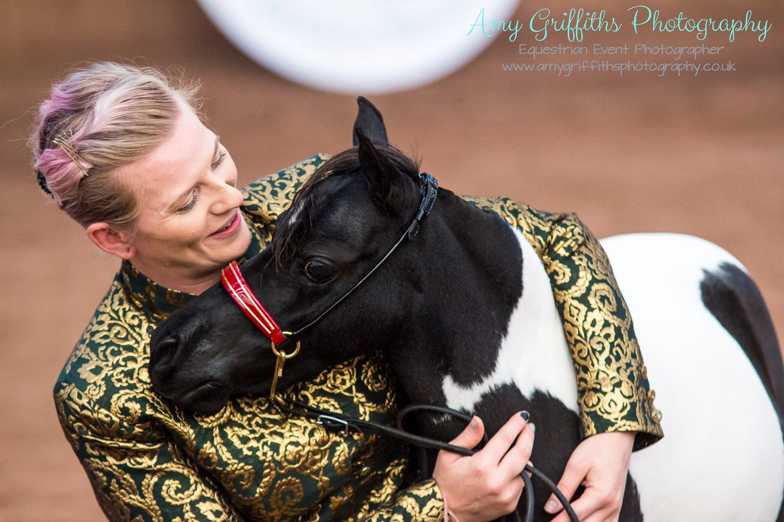 Miniature Horse Club of Great Britain - Amy Griffiths Equestrian Event Photography