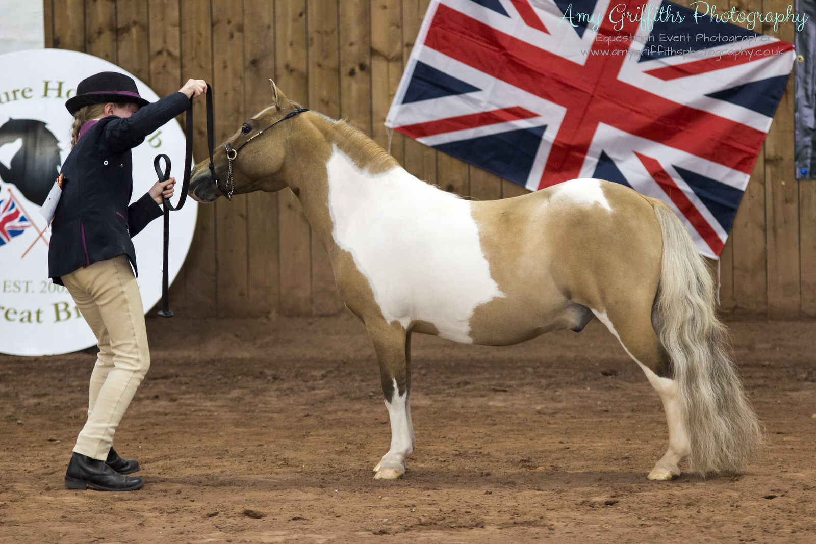 Miniature Horse Club of Great Britain - Amy Griffiths Equestrian Event Photography