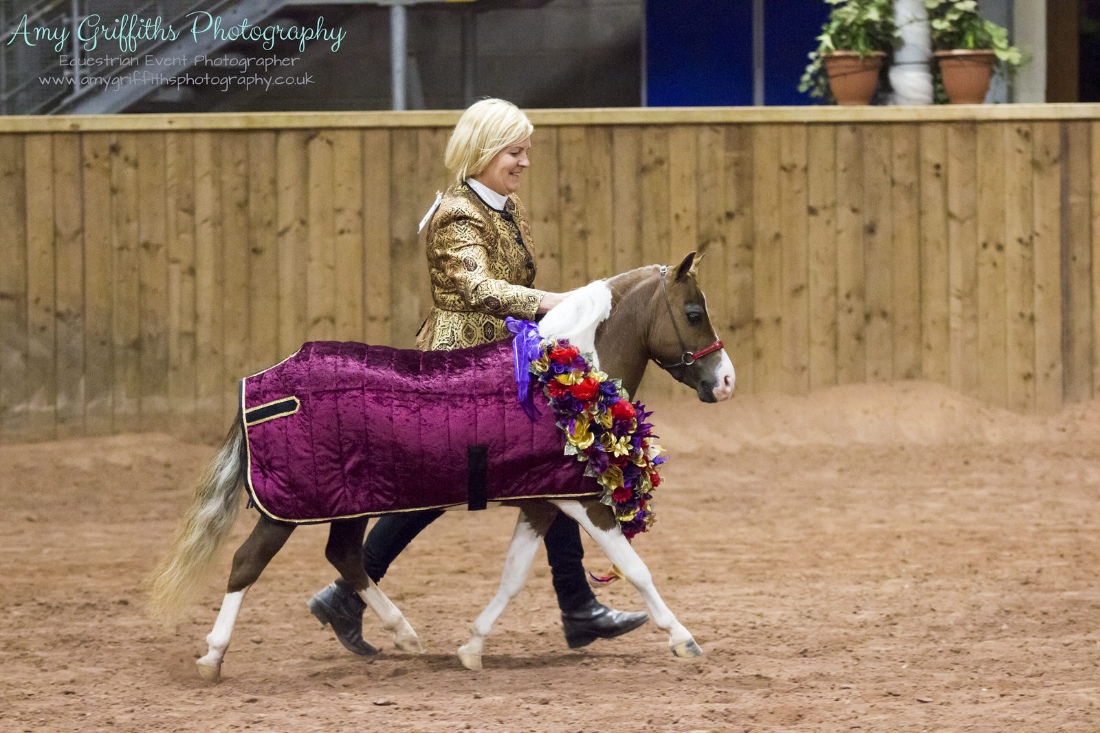 Miniature Horse Club of Great Britain - Amy Griffiths Equestrian Event Photography