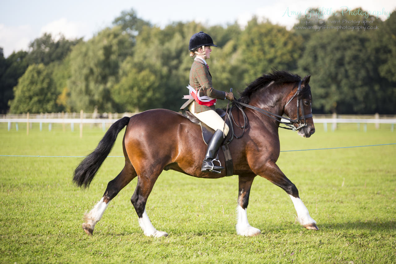 Amy Griffiths Photography- NCPA Yorkshire Branch Autumn Show