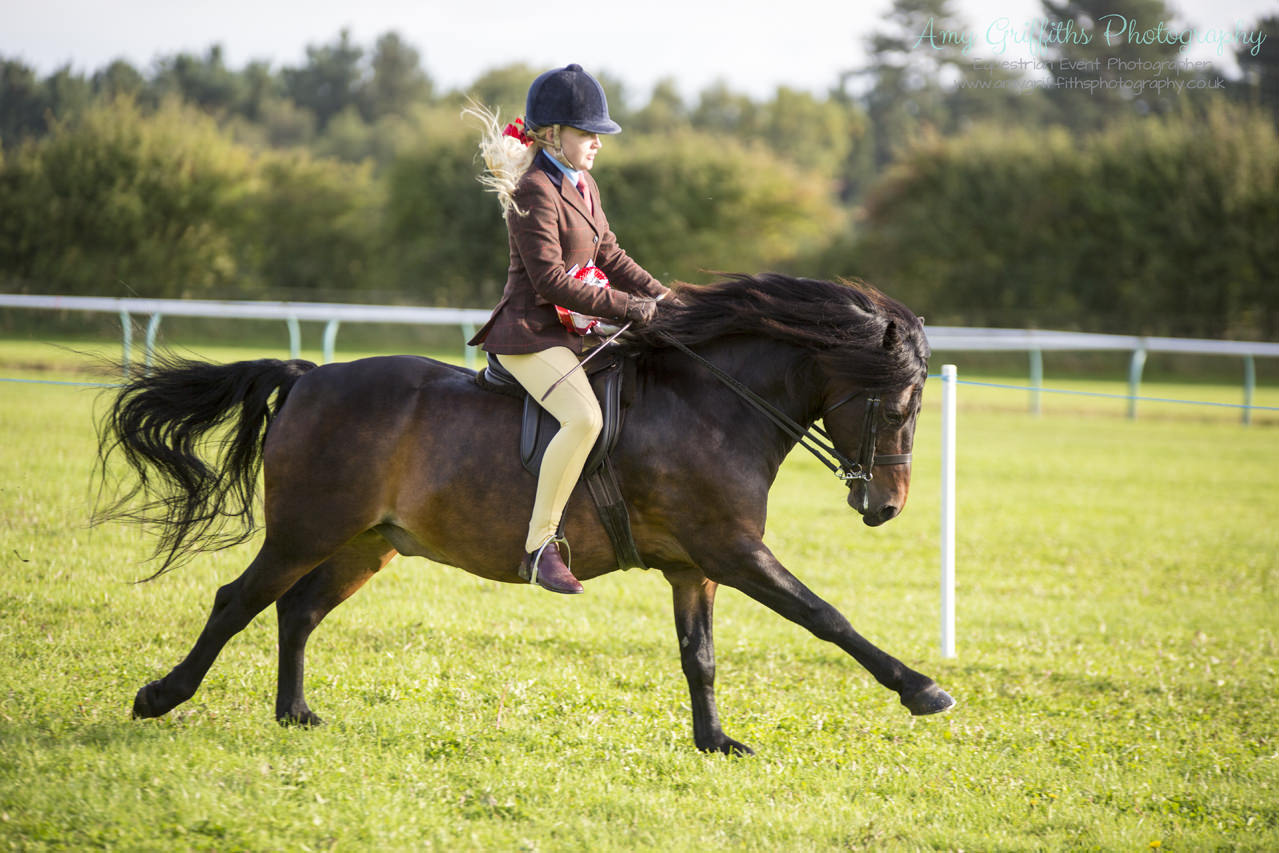 Amy Griffiths Photography- NCPA Yorkshire Branch Autumn Show