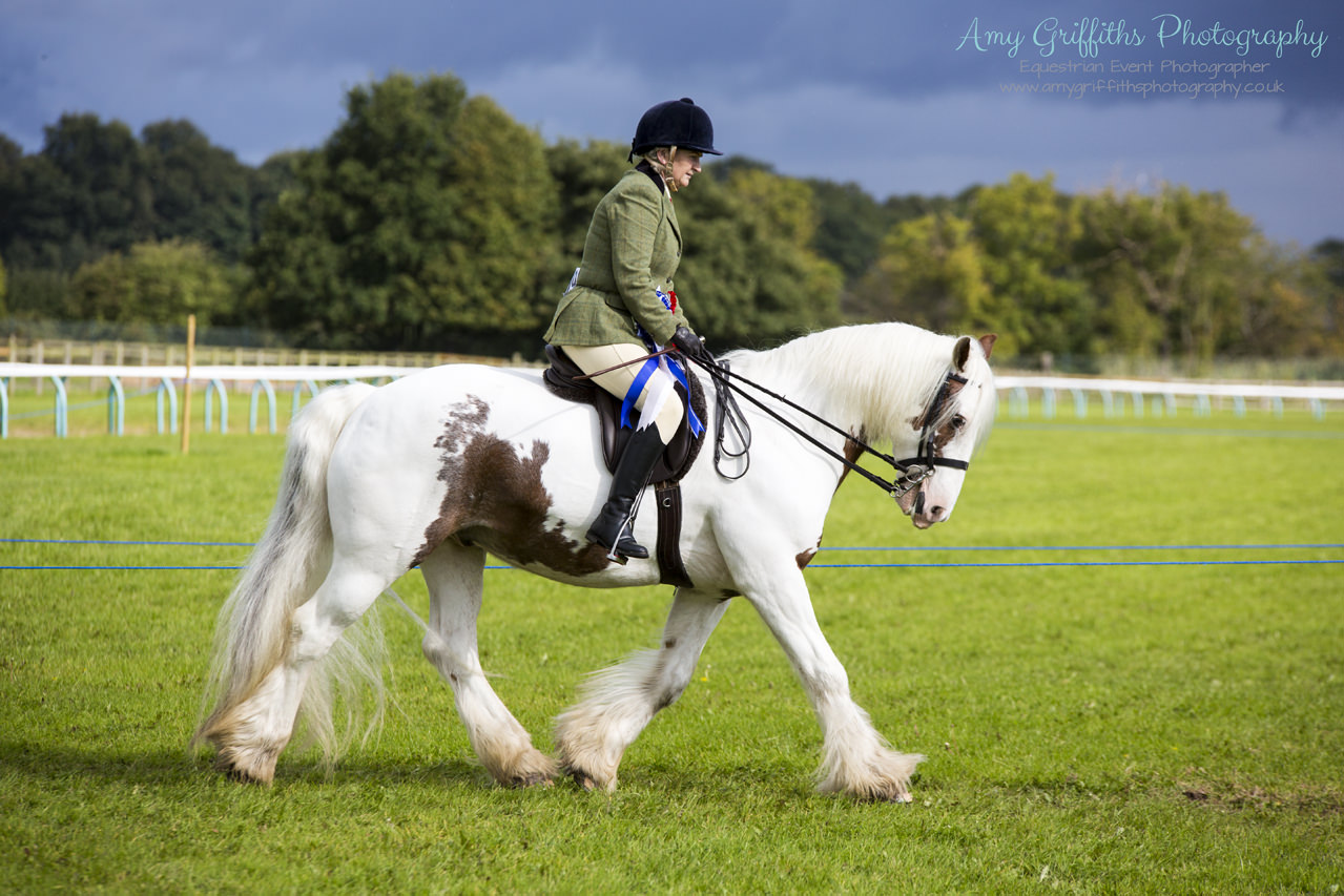 Amy Griffiths Photography- NCPA Yorkshire Branch Autumn Show