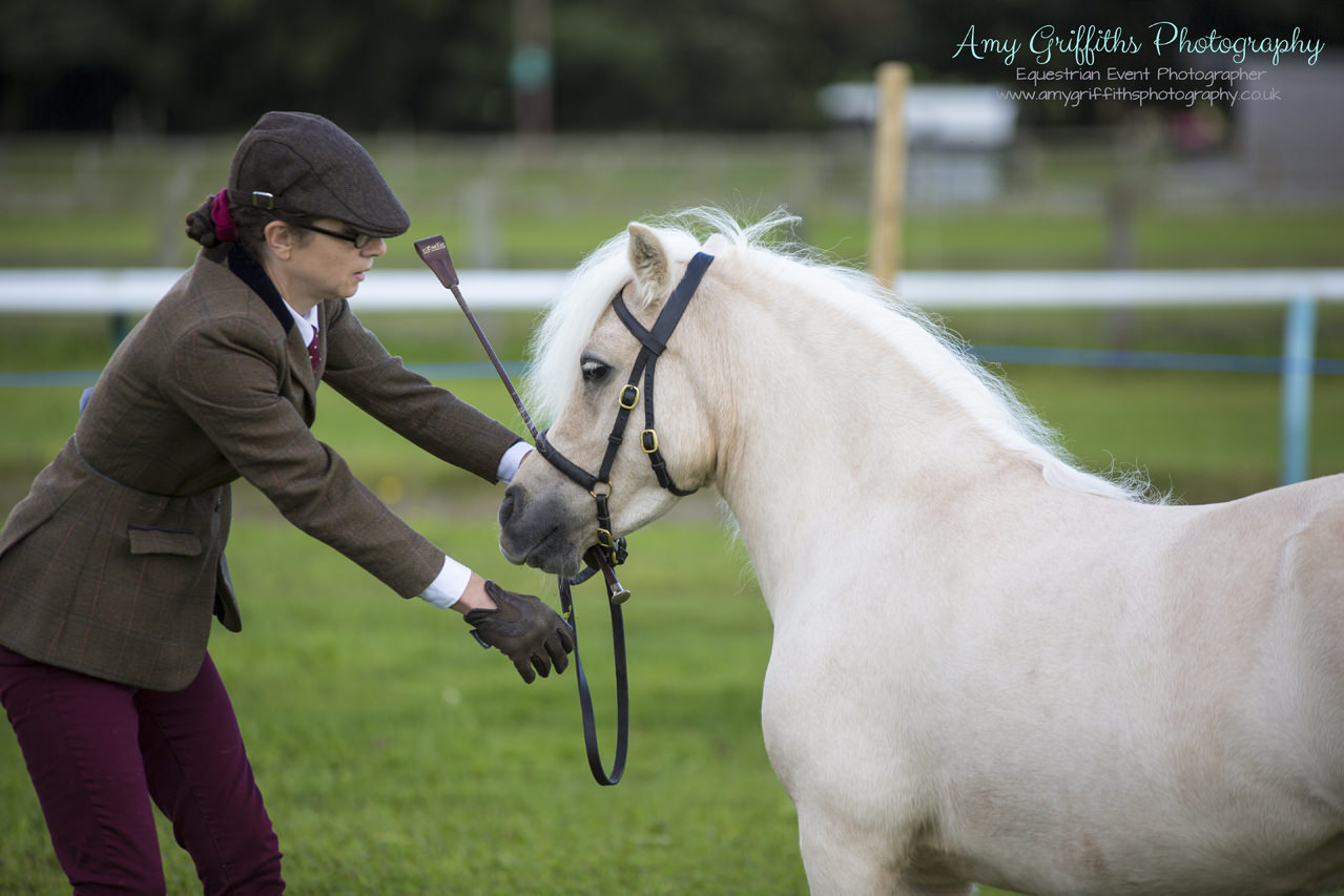 Amy Griffiths Photography- NCPA Yorkshire Branch Autumn Show