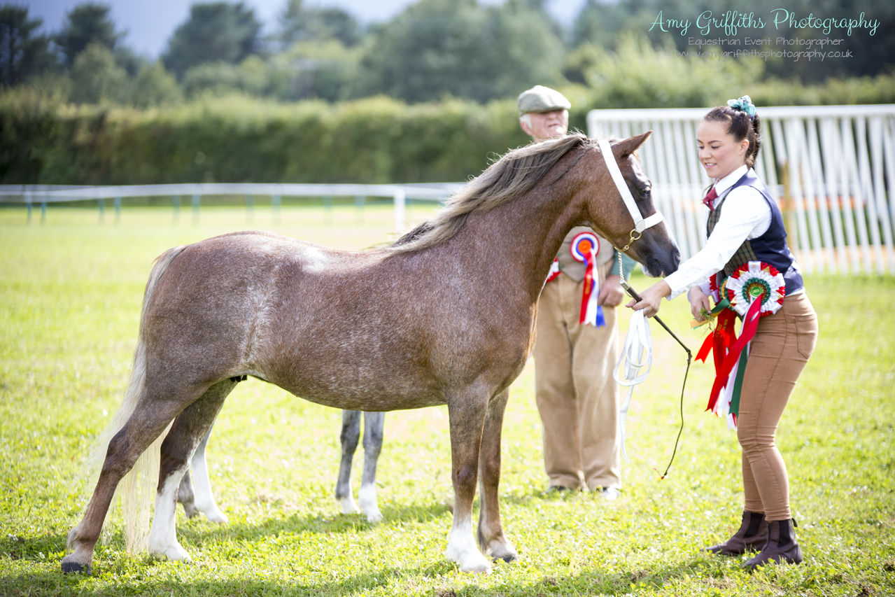 Amy Griffiths Photography- NCPA Yorkshire Branch Autumn Show