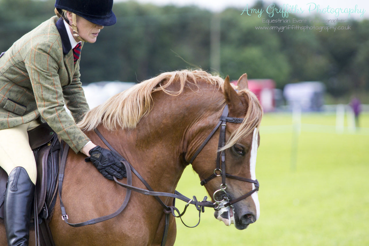 Amy Griffiths Photography- NCPA Yorkshire Branch Autumn Show