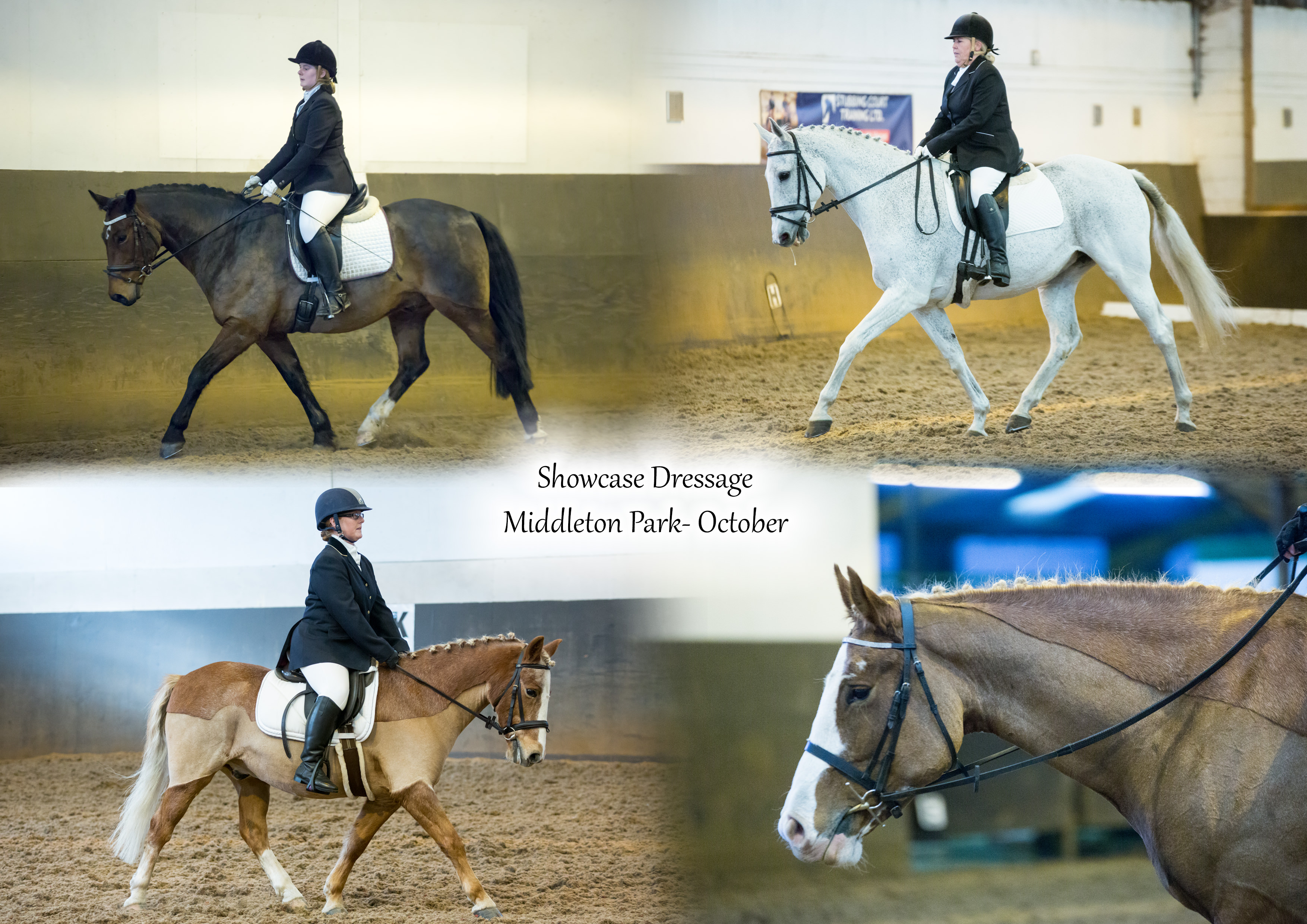 Amy Griffiths Photography Yorkshire Equestrian Event Photographers