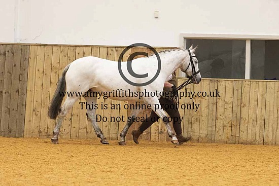 British Appaloosa Society Northern Show - 21st June