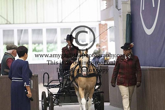 BDS National Championship - Novice Pony Class 2 Re-upload