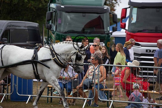Ashbourne Show - Saturday 15th August