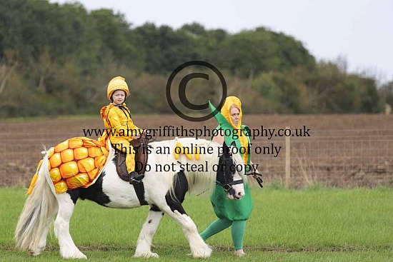 Thorngumbald Show - 6th September 2026