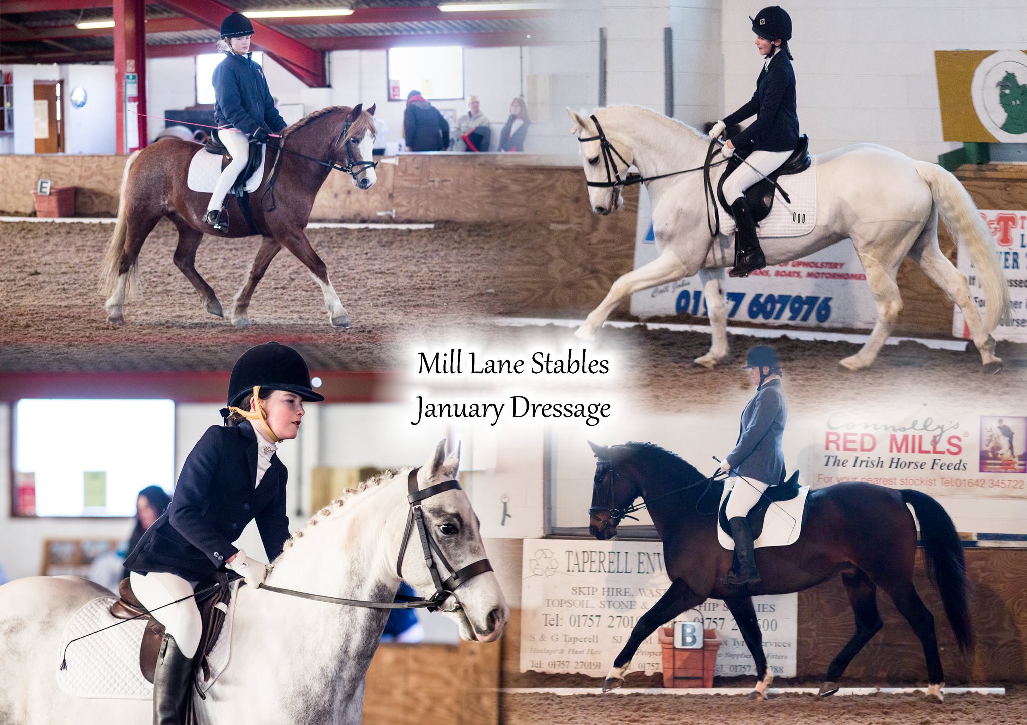 Mill Lane Stables Dressage