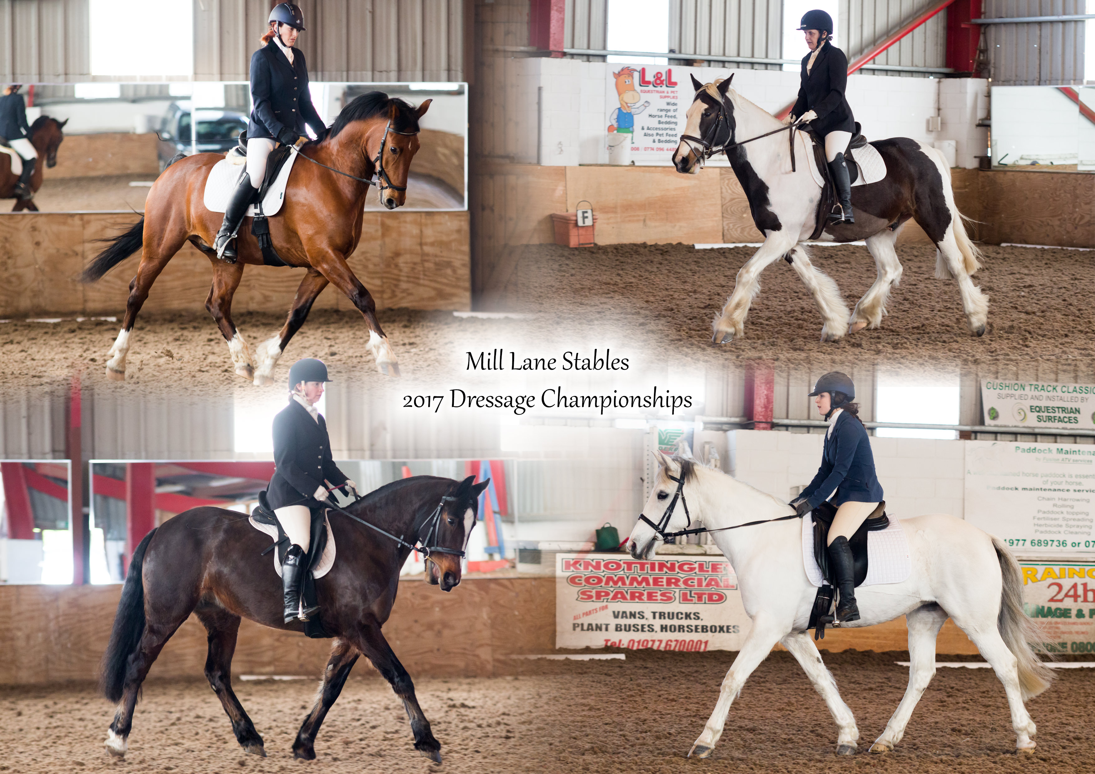 Mill Lane Stables 2017 Dressage Championships