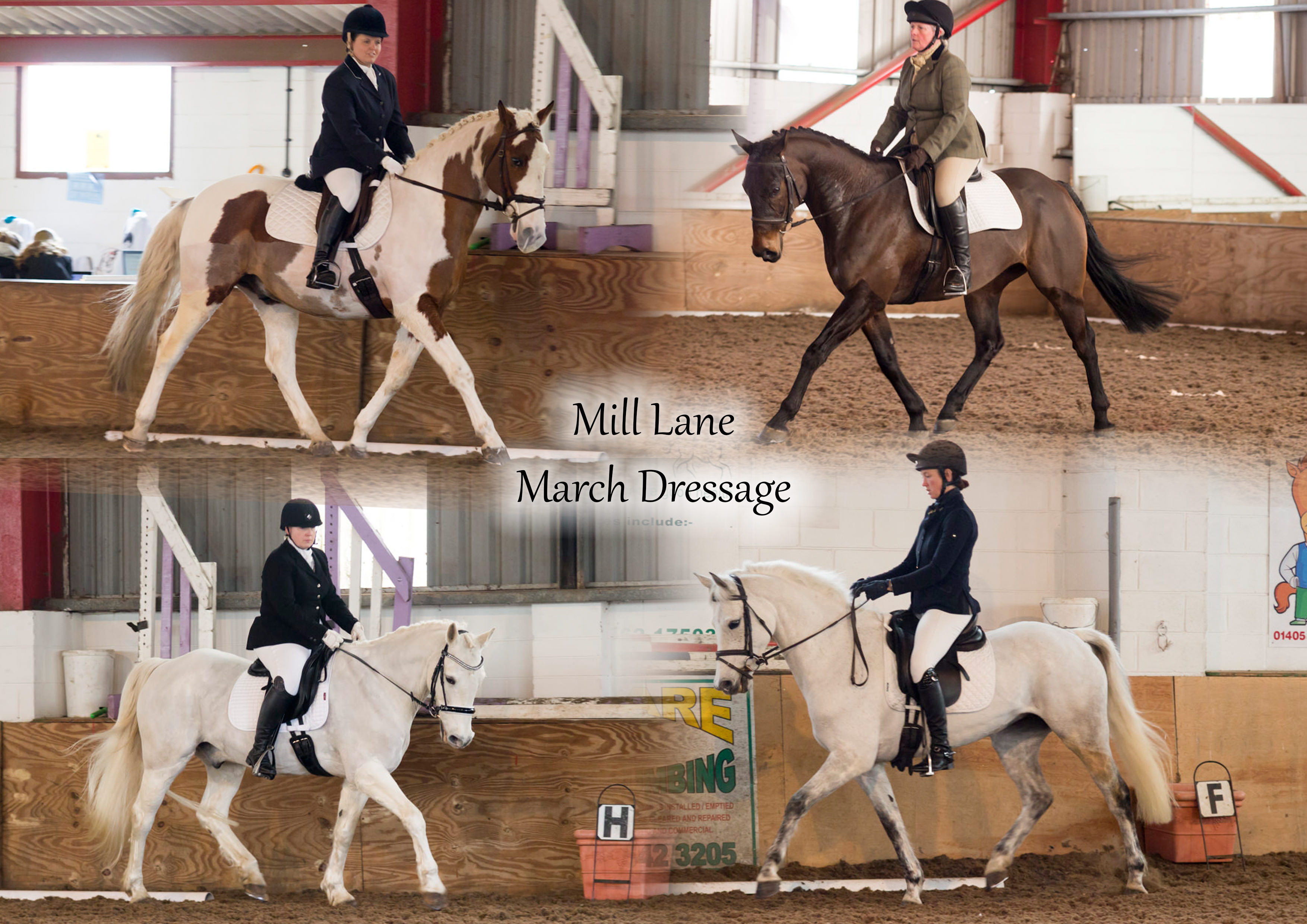 Mill Lane March Dressage