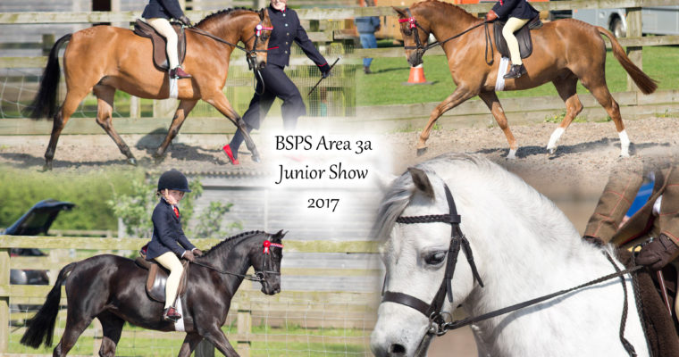 BSPS Area 3a Junior Show 2017